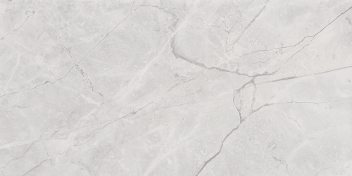 Connect Gris Керамогранит серый 60х119,5 полированный