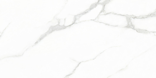 WHITE CARARRA  AZARIO Керамогранит 60x120 Glossy (GJT612670)