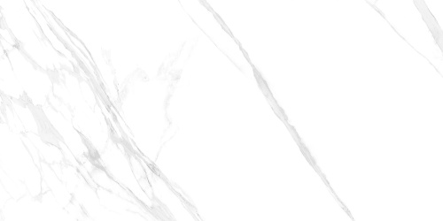 OCTAVIANO SATVARIO AZARIO Керамогранит 60x120 Glossy (F4110821125G)