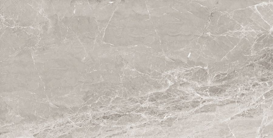 Nostalgic Silver Керамогранит 60х120 Полированный 