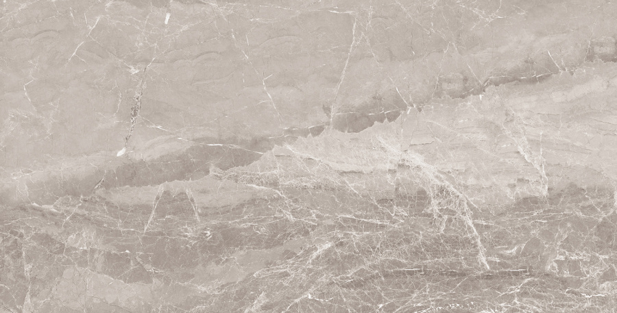 Nostalgic Silver Керамогранит 60х120 Полированный 