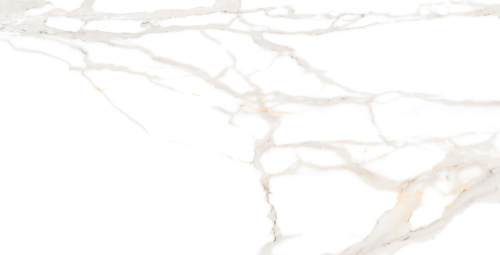 STATUARIO GOLD AZARIO Керамогранит 60x120 Matt (F2030821120M)