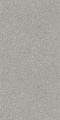 Джиминьяно серый матовый обрезной 60х119,5
